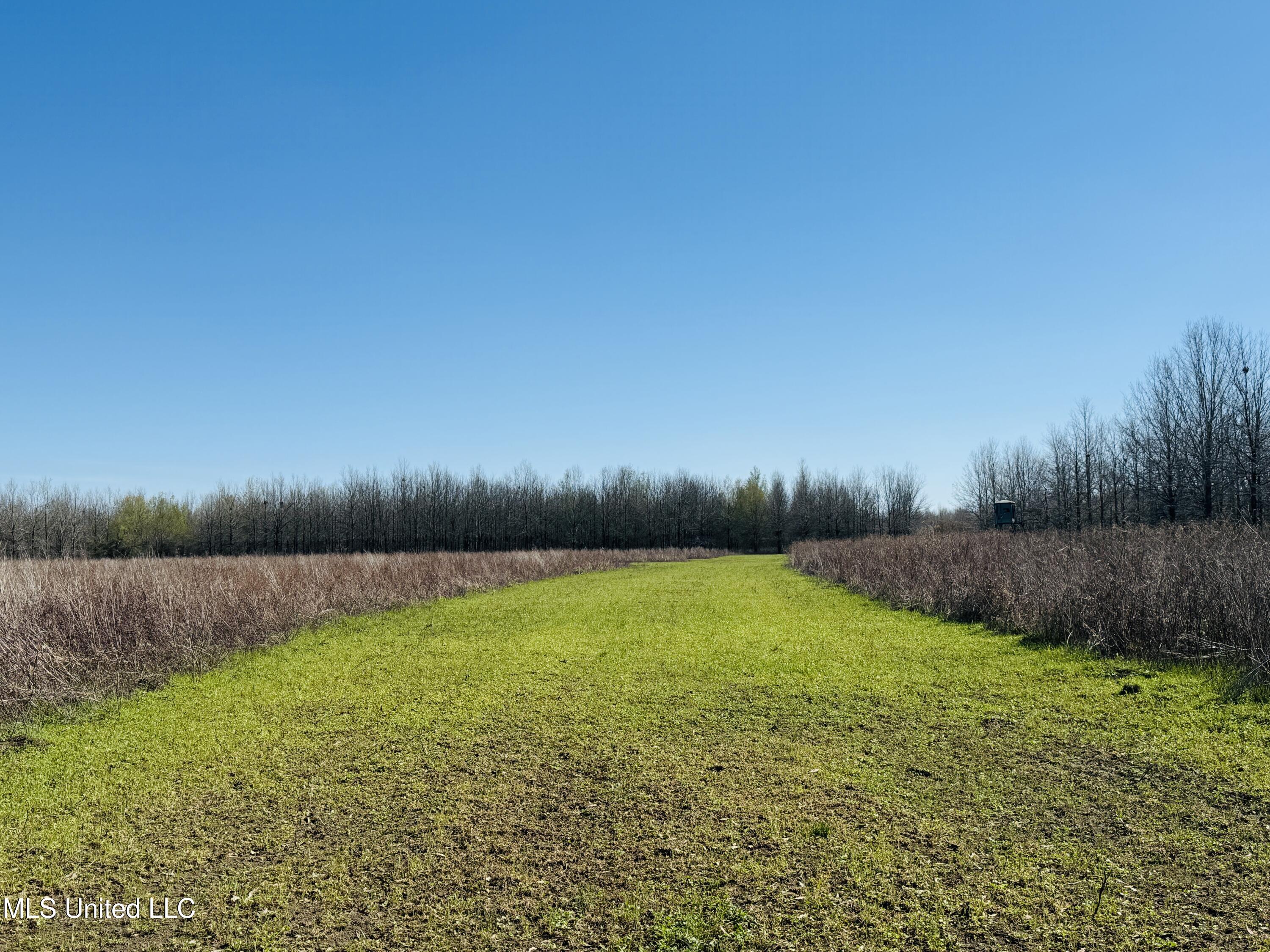 0 Priddy Road Rolling Fork, MS 39159 - Photo 20 of 56 Photo Mar 25 2025, 4 13 27 PM