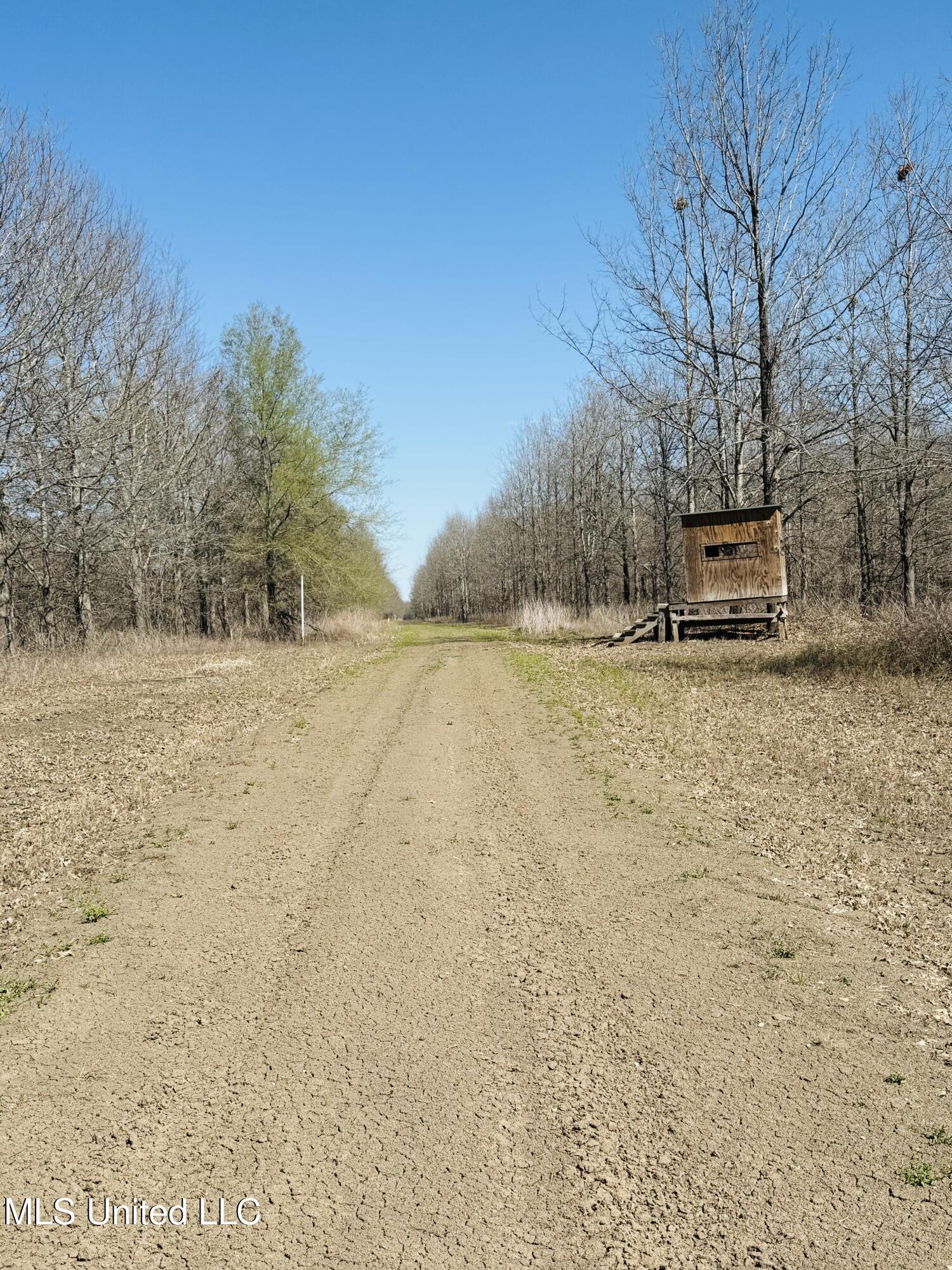 0 Priddy Road Rolling Fork, MS 39159 - Photo 2 of 56 Photo Mar 25 2025, 3 32 52 PM