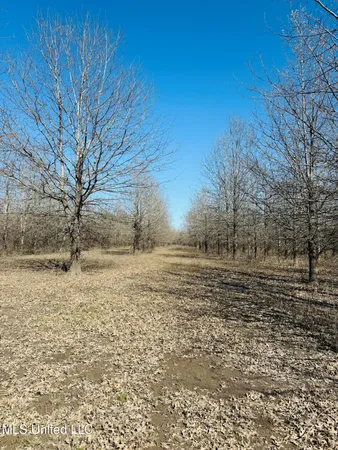$1,050,000 | 0 Priddy Road, Rolling Fork, MS 39159