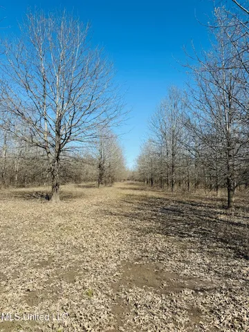 $1,150,000 | 0 Priddy Road, Rolling Fork, MS 39159