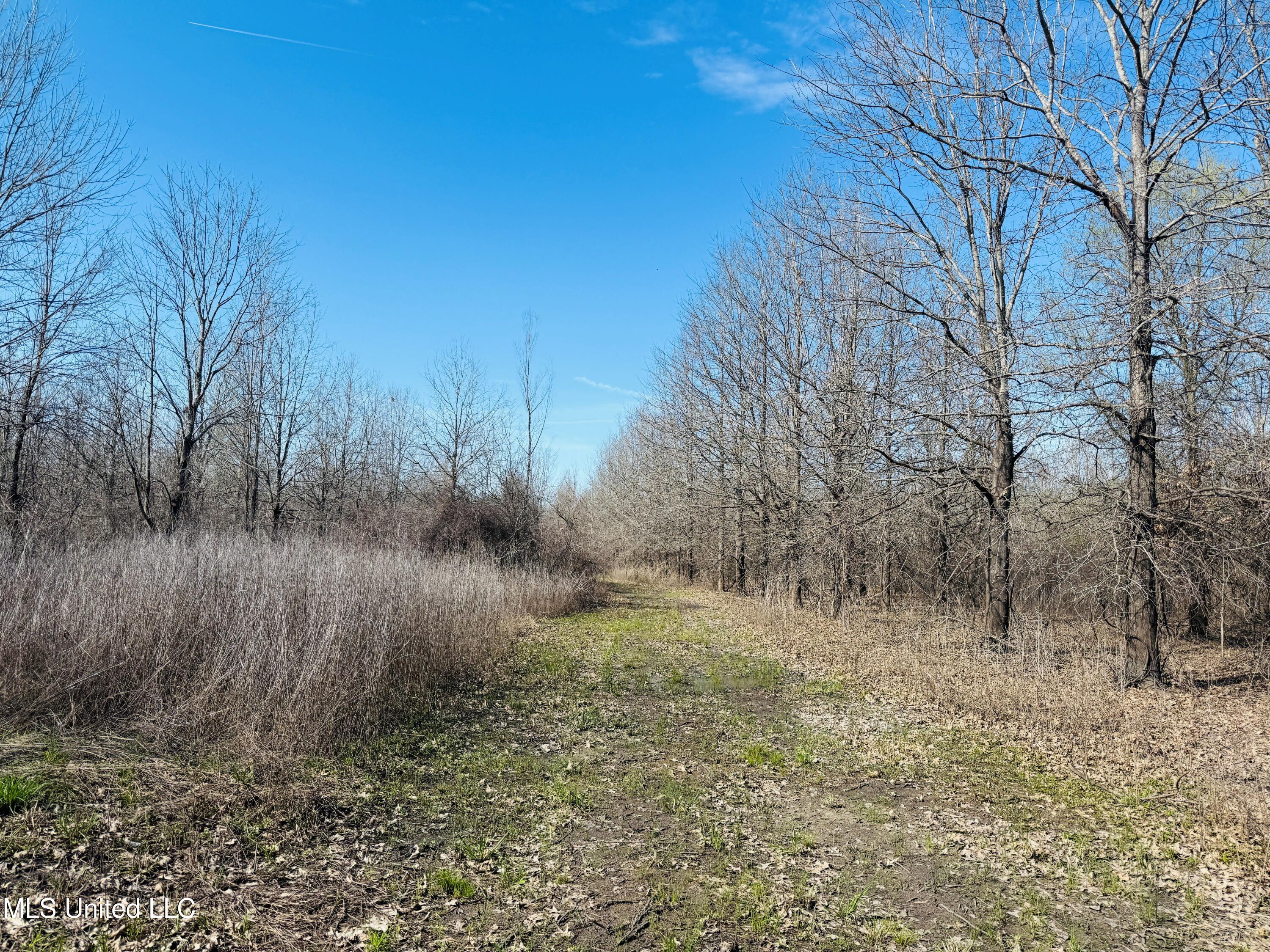 0 Priddy Road Rolling Fork, MS 39159 - Photo 22 of 56 Photo Mar 25 2025, 4 08 46 PM