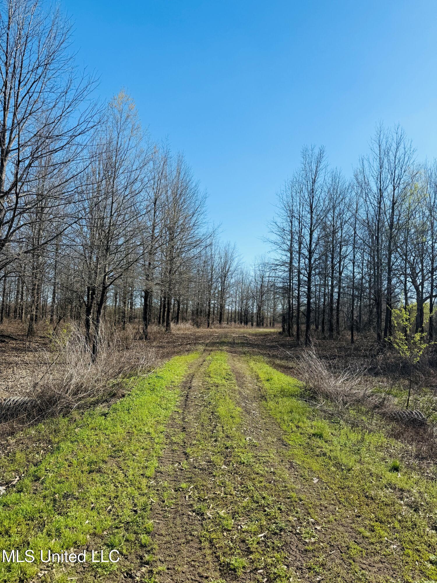 0 Priddy Road Rolling Fork, MS 39159 - Photo 23 of 56 Photo Mar 25 2025, 4 12 35 PM
