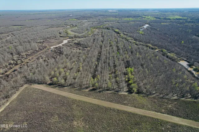$1,150,000 | 0 Priddy Road, Rolling Fork, MS 39159