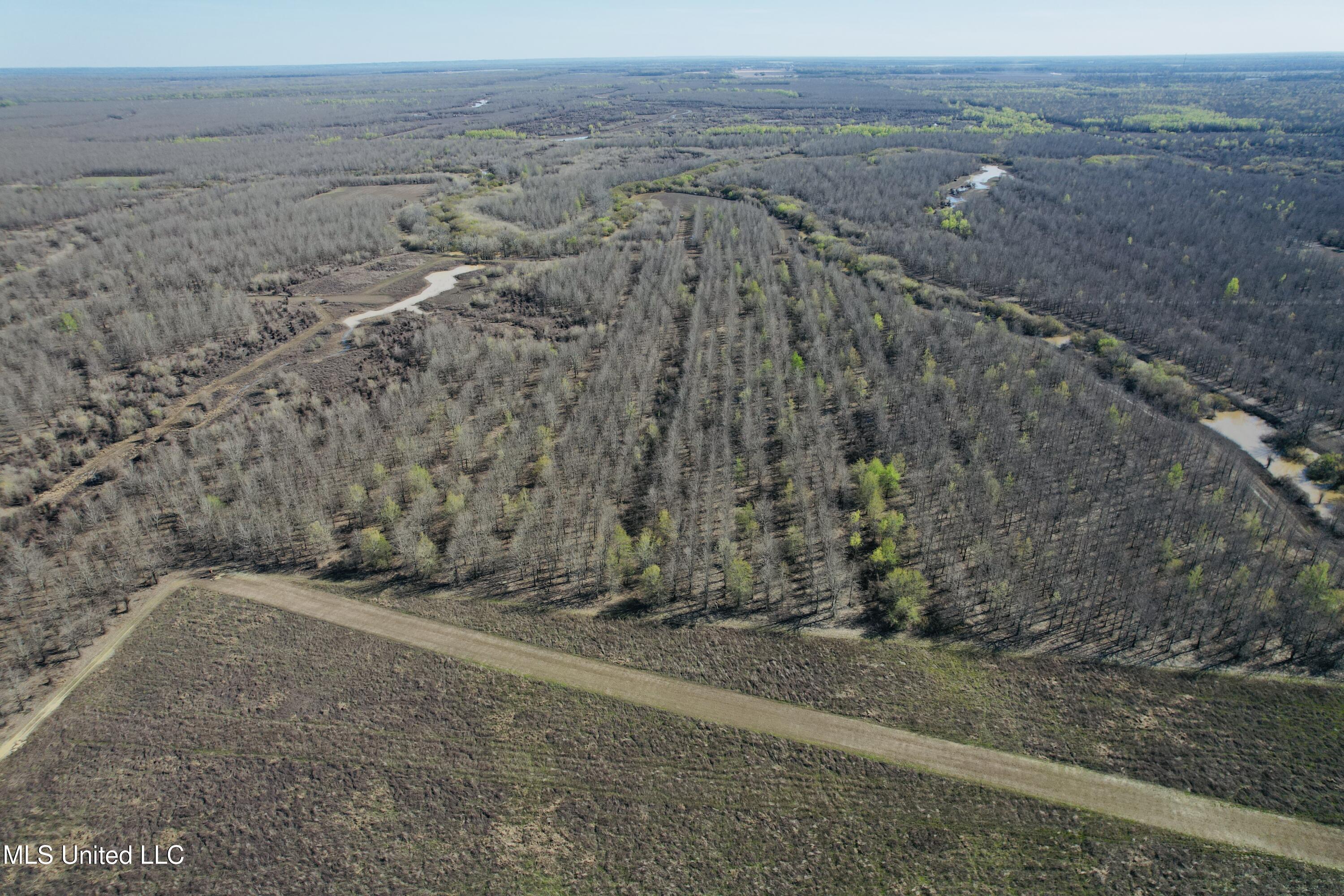 0 Priddy Road Rolling Fork, MS 39159 - Photo 25 of 56 Photo Mar 25 2025, 4 23 07 PM