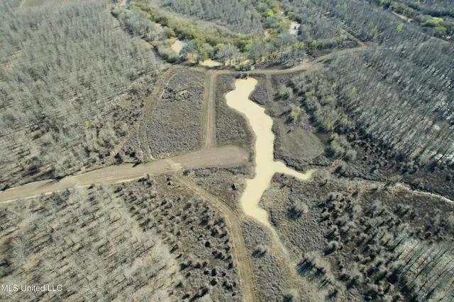 $1,150,000 | 0 Priddy Road, Rolling Fork, MS 39159