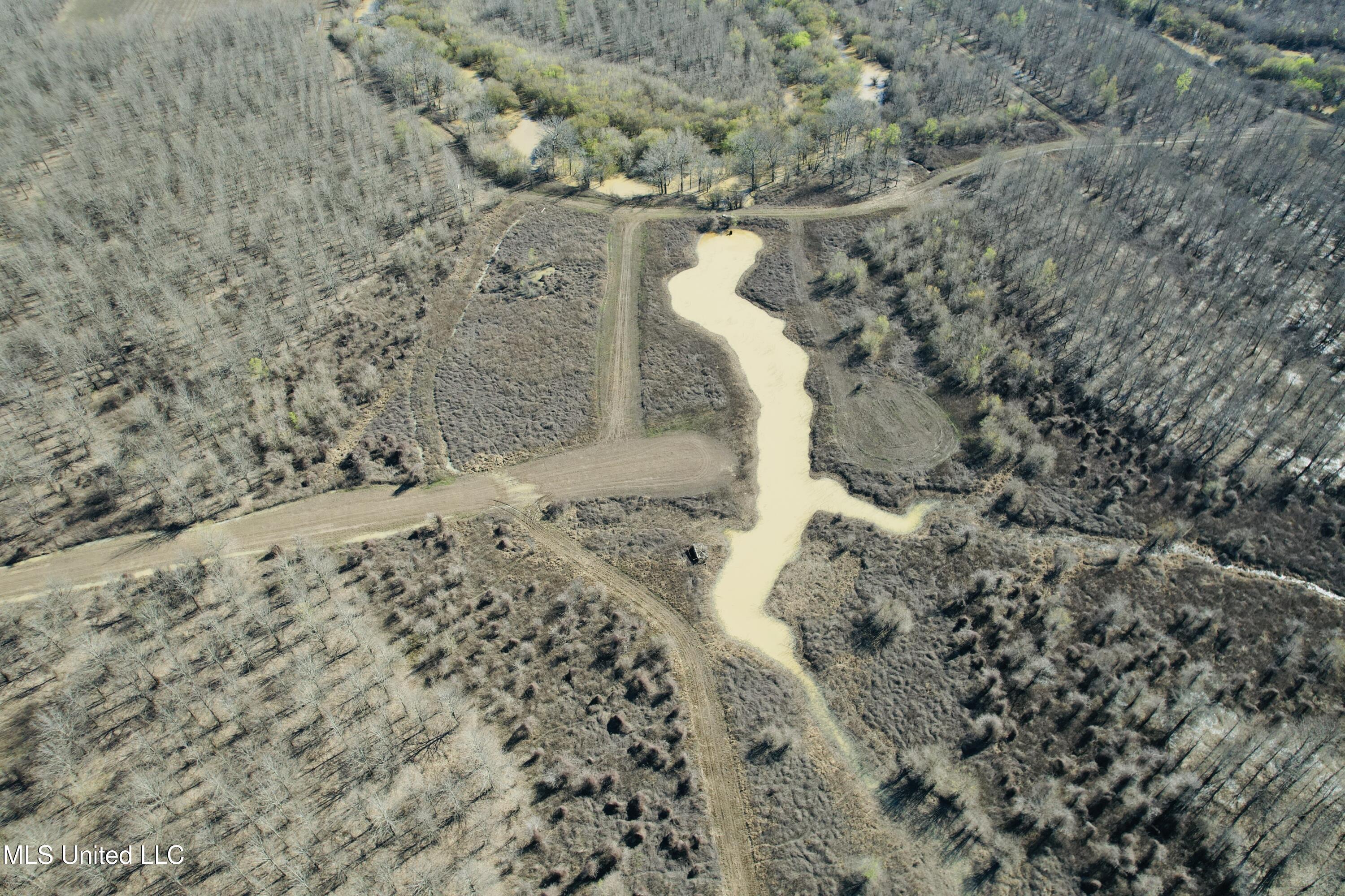 0 Priddy Road Rolling Fork, MS 39159 - Photo 26 of 56 Photo Mar 25 2025, 4 23 42 PM