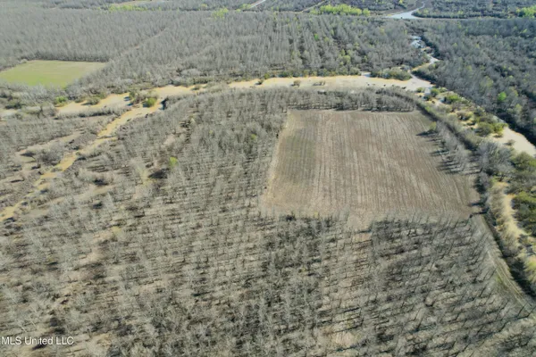 $1,050,000 | 0 Priddy Road, Rolling Fork, MS 39159