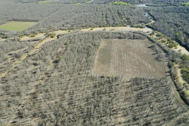 $1,150,000 | 0 Priddy Road, Rolling Fork, MS 39159