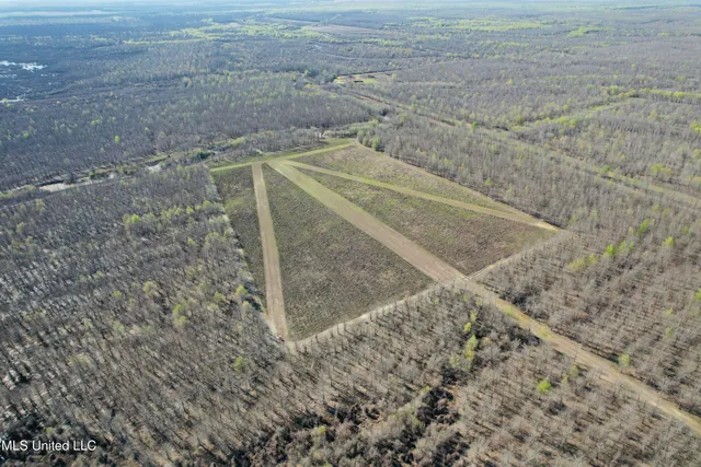 $1,150,000 | 0 Priddy Road, Rolling Fork, MS 39159