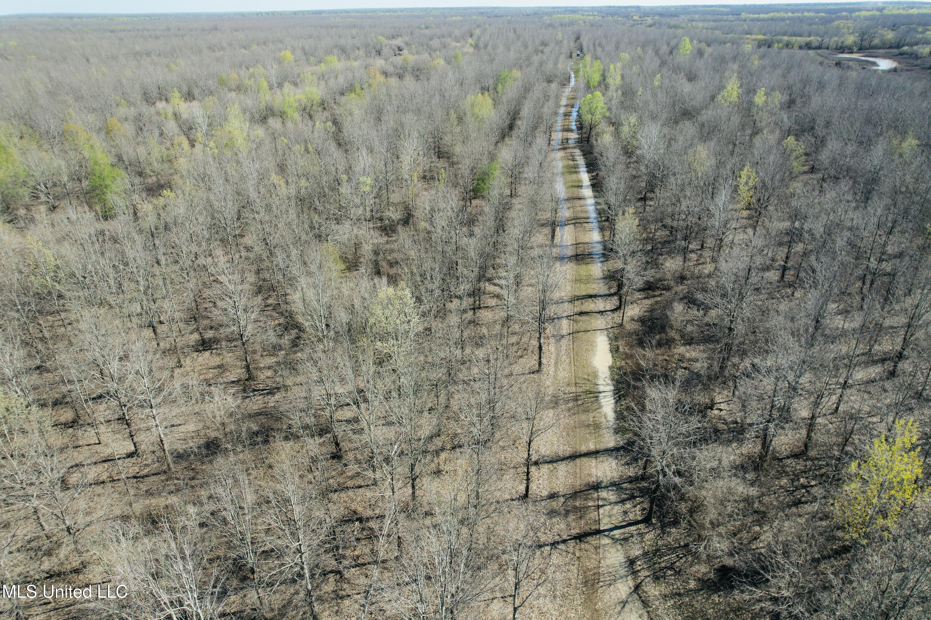 0 Priddy Road Rolling Fork, MS 39159 - Photo 31 of 56 Photo Mar 25 2025, 4 26 32 PM