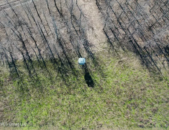 $1,050,000 | 0 Priddy Road, Rolling Fork, MS 39159