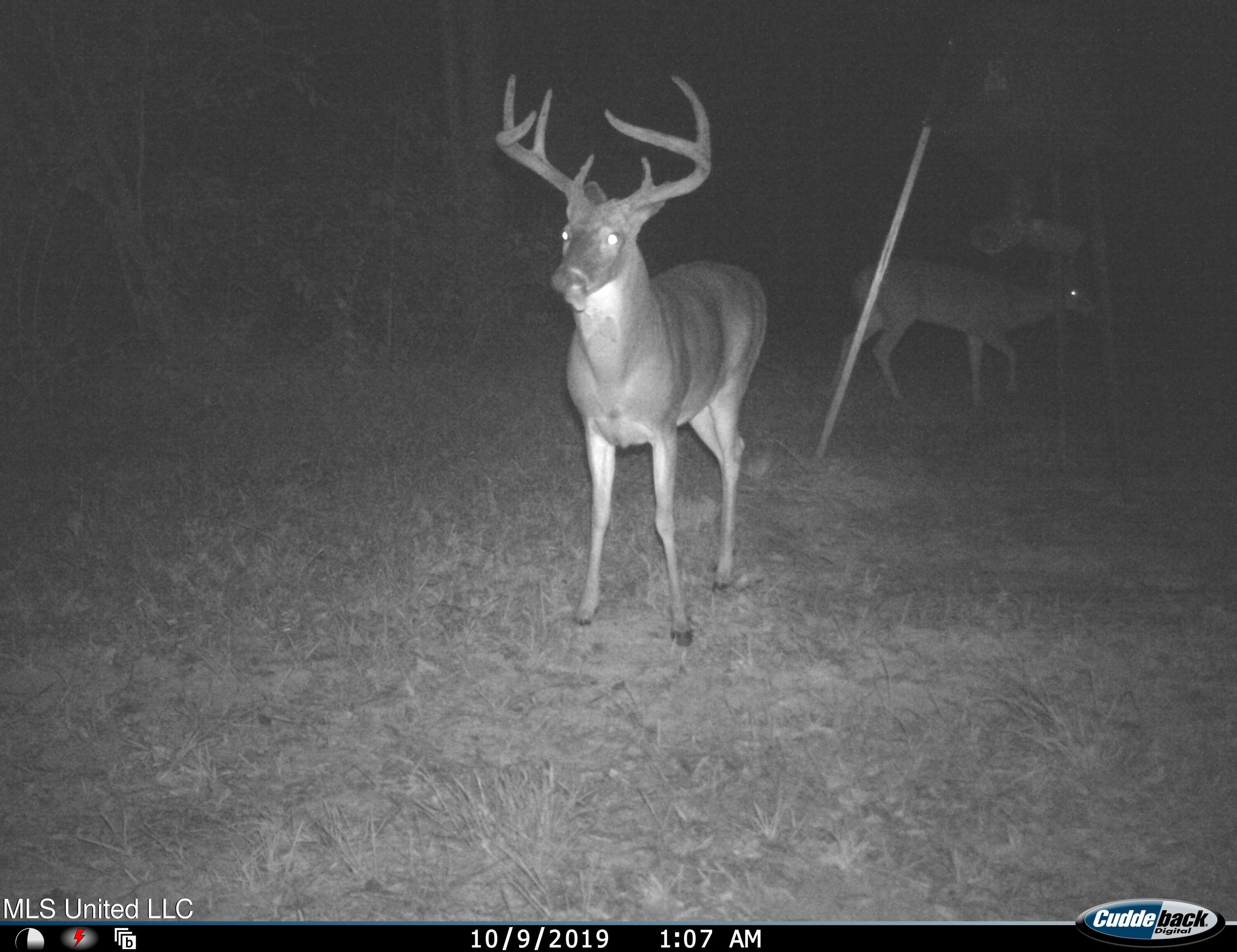 0 Priddy Road Rolling Fork, MS 39159 - Photo 34 of 56 I_00308b