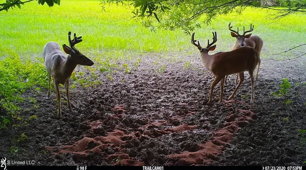 $1,050,000 | 0 Priddy Road, Rolling Fork, MS 39159