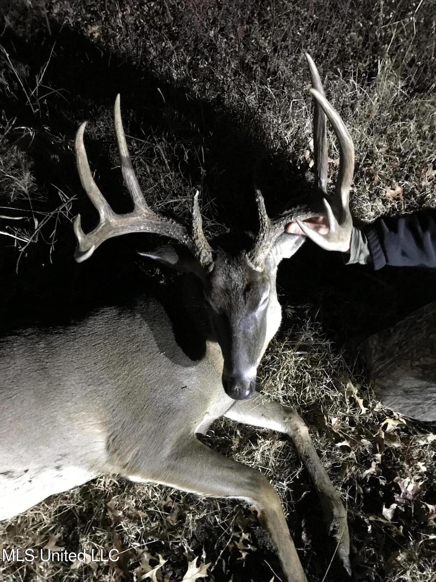 0 Priddy Road Rolling Fork, MS 39159 - Photo 37 of 56 IMG_0776