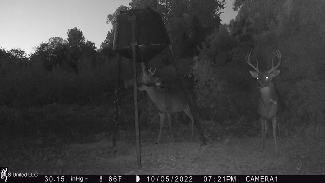 $1,150,000 | 0 Priddy Road, Rolling Fork, MS 39159