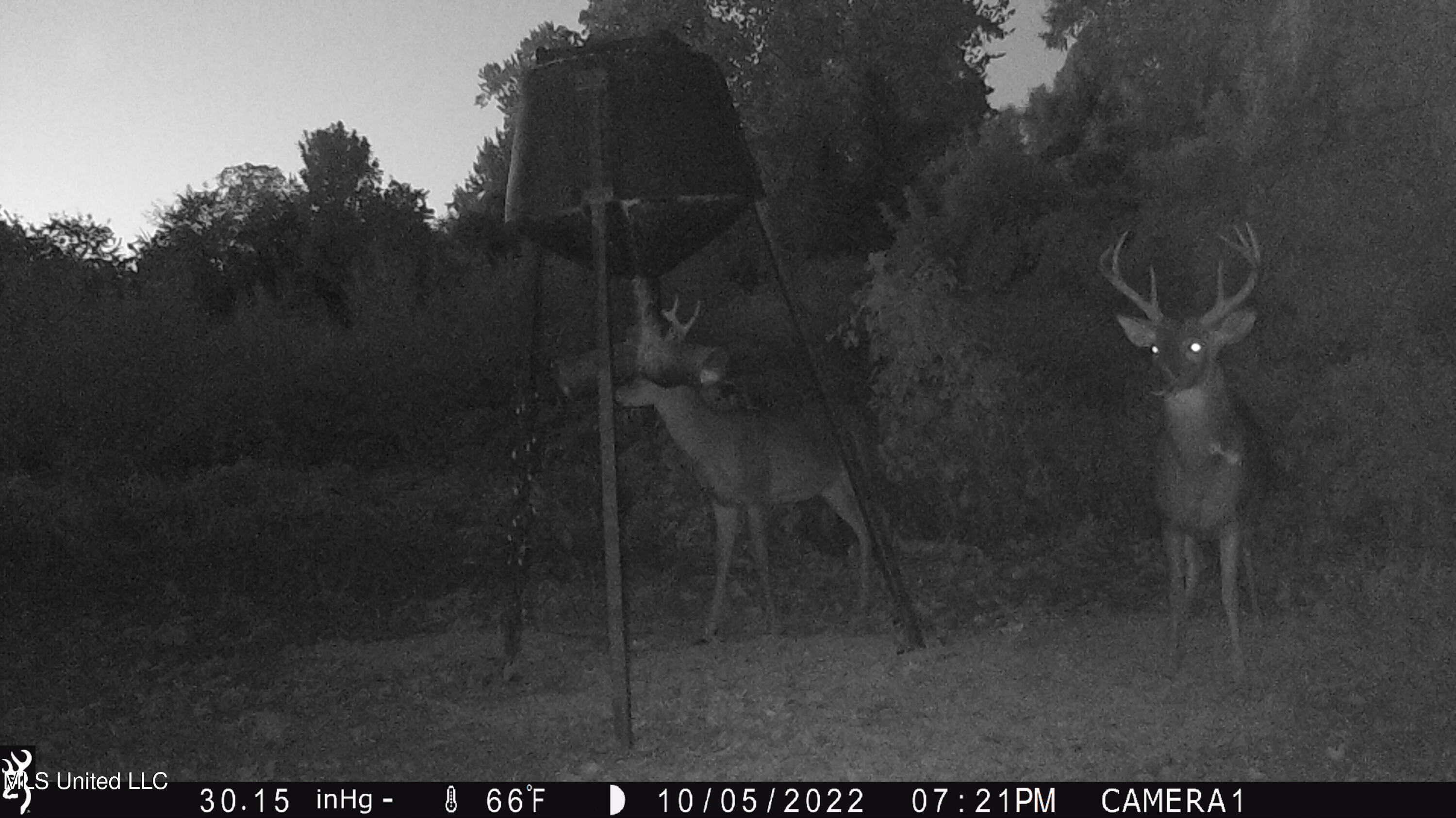 0 Priddy Road Rolling Fork, MS 39159 - Photo 40 of 56 IMG_1153