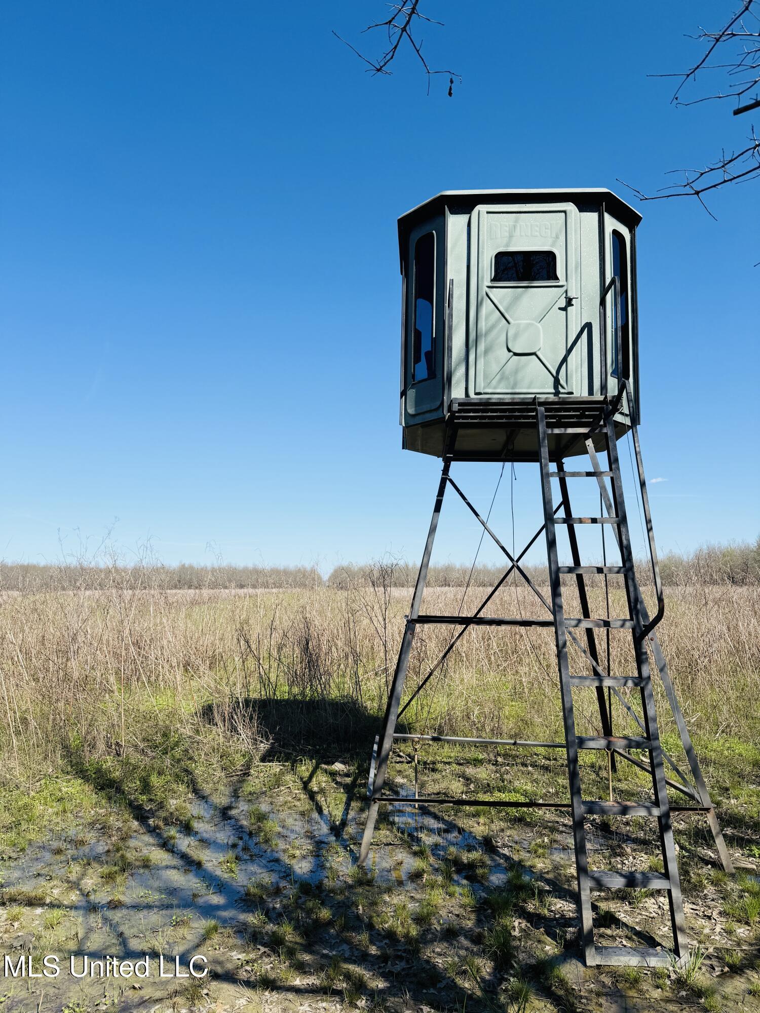 0 Priddy Road Rolling Fork, MS 39159 - Photo 4 of 56 Photo Mar 25 2025, 3 35 41 PM