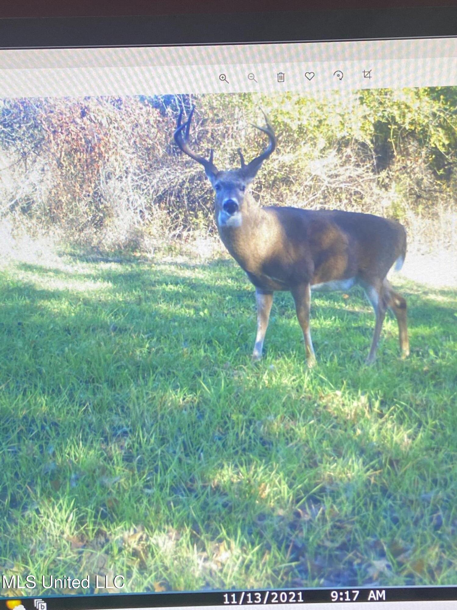 0 Priddy Road Rolling Fork, MS 39159 - Photo 43 of 56 IMG_2477