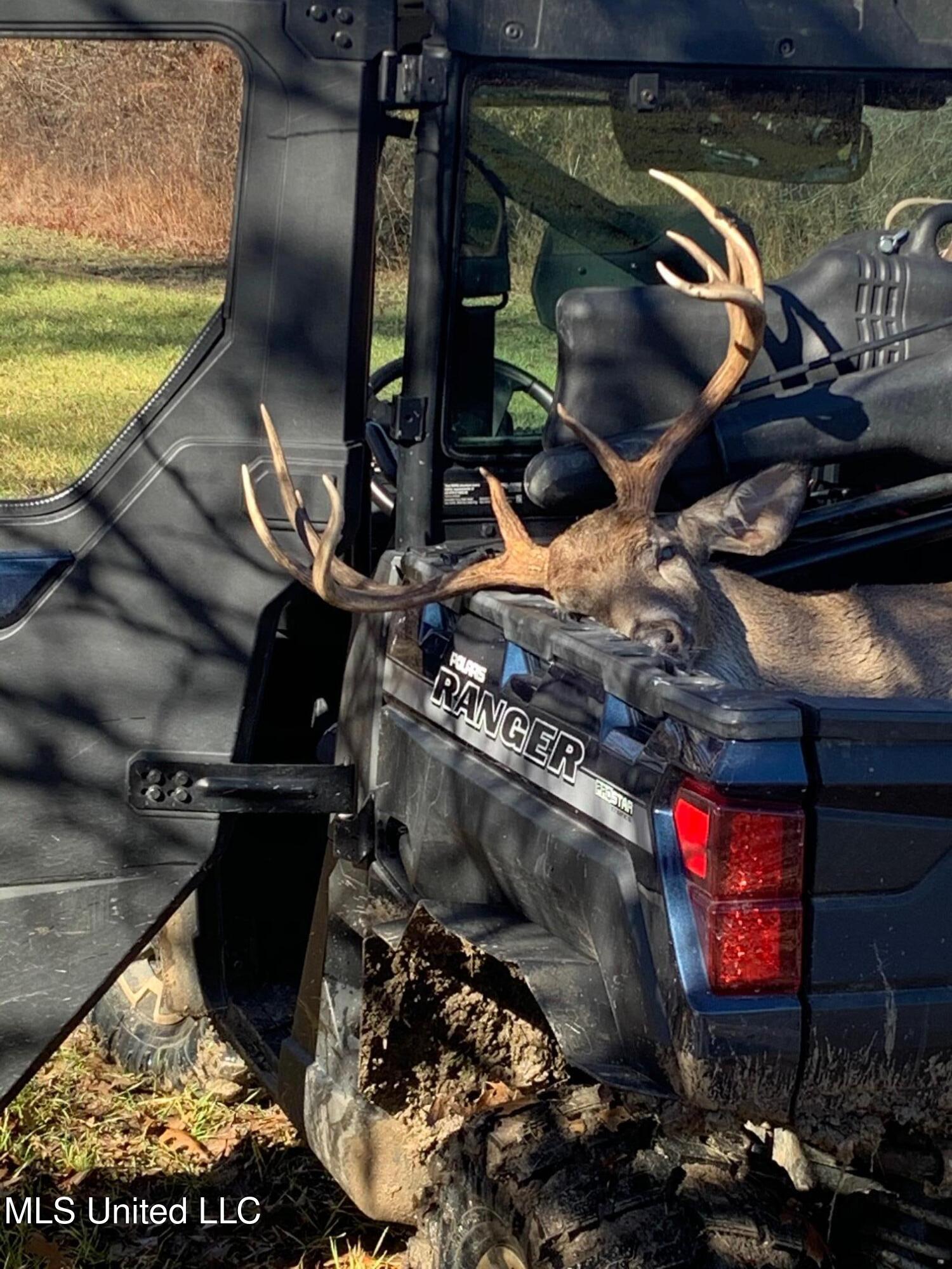 0 Priddy Road Rolling Fork, MS 39159 - Photo 46 of 56 Property Profile Deer 2