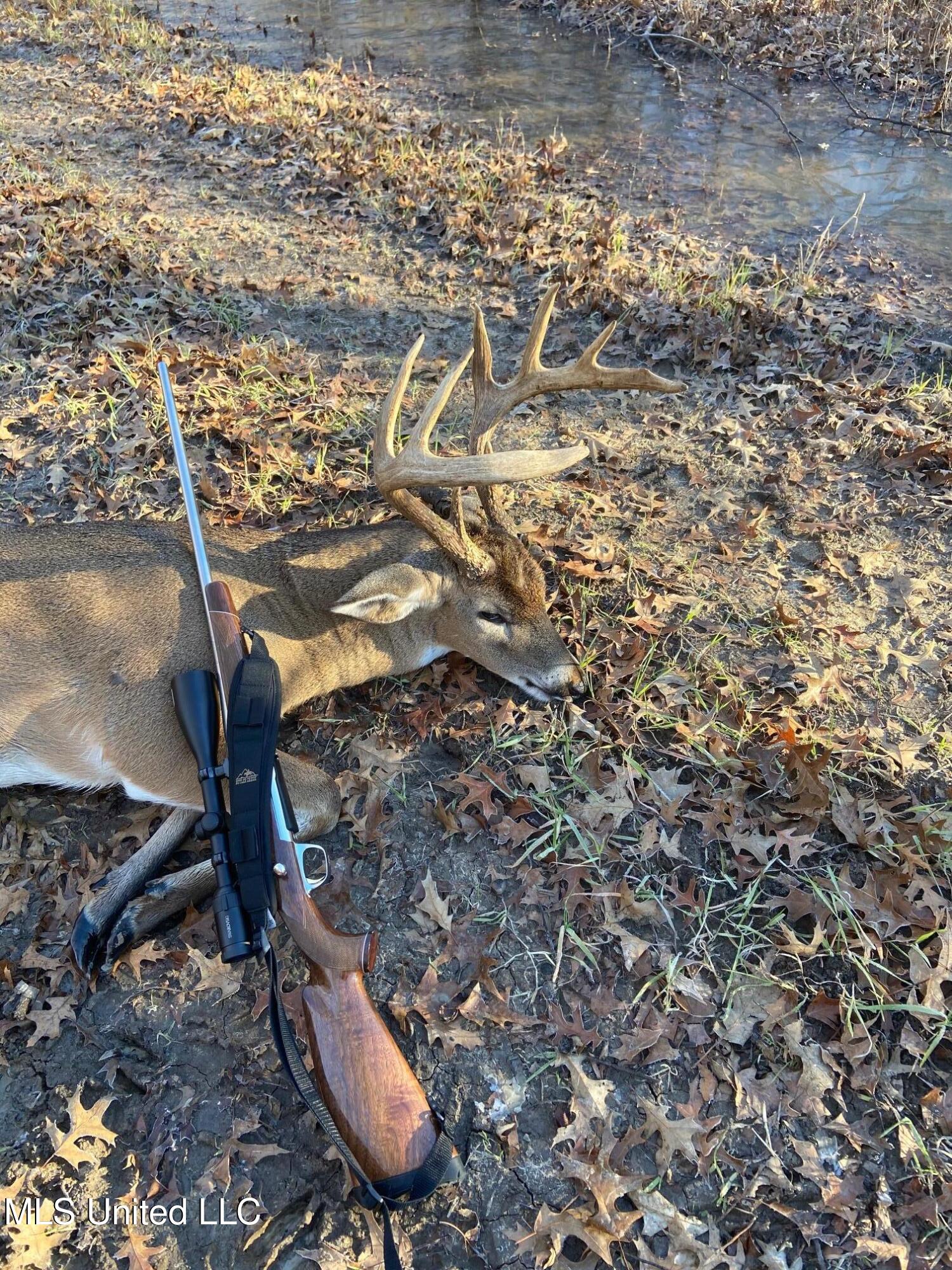 0 Priddy Road Rolling Fork, MS 39159 - Photo 47 of 56 Property Profile Deer 3