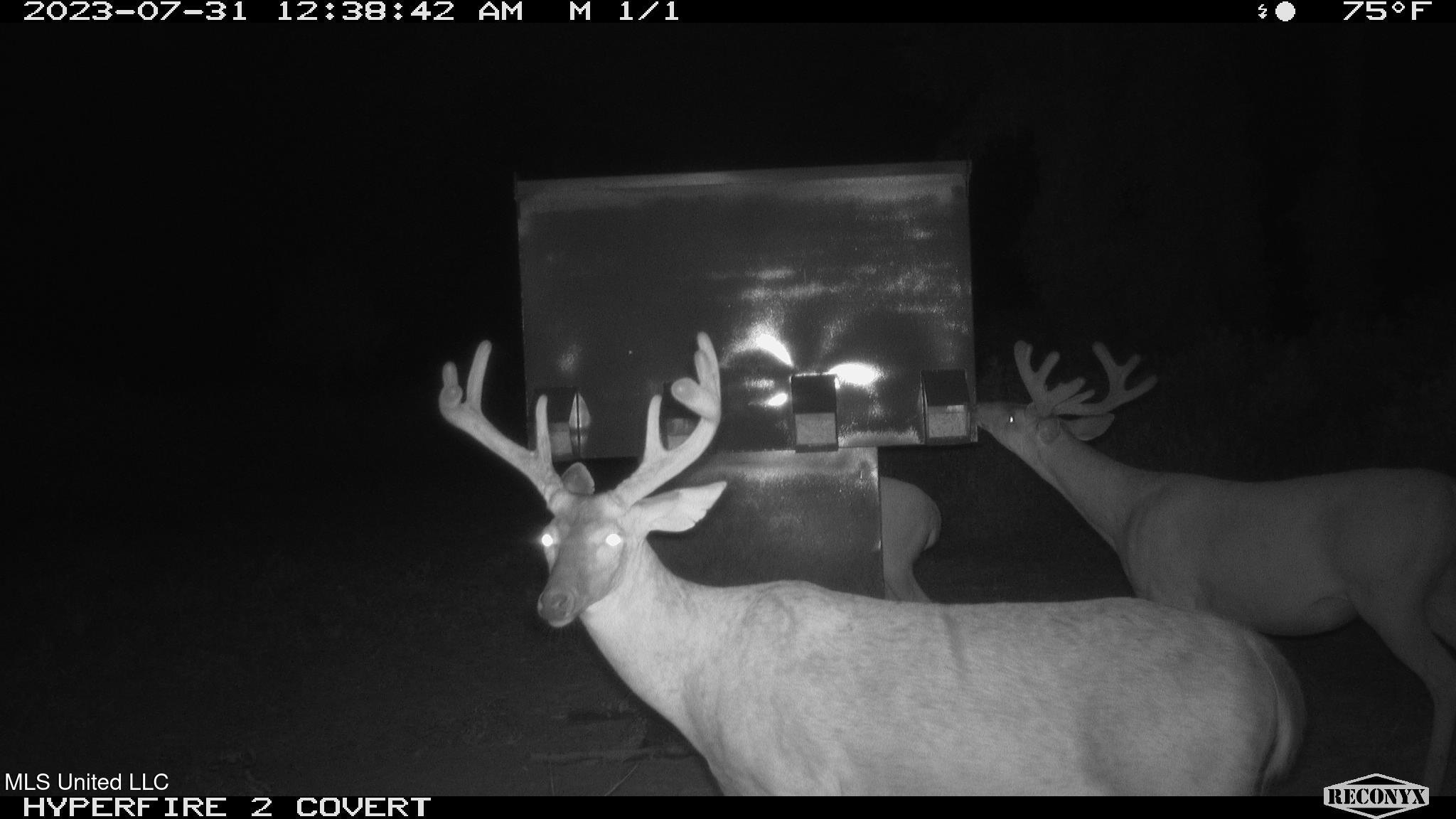 0 Priddy Road Rolling Fork, MS 39159 - Photo 49 of 56 RCNX0976 - Copy