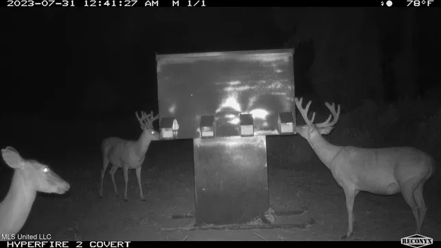 $1,150,000 | 0 Priddy Road, Rolling Fork, MS 39159