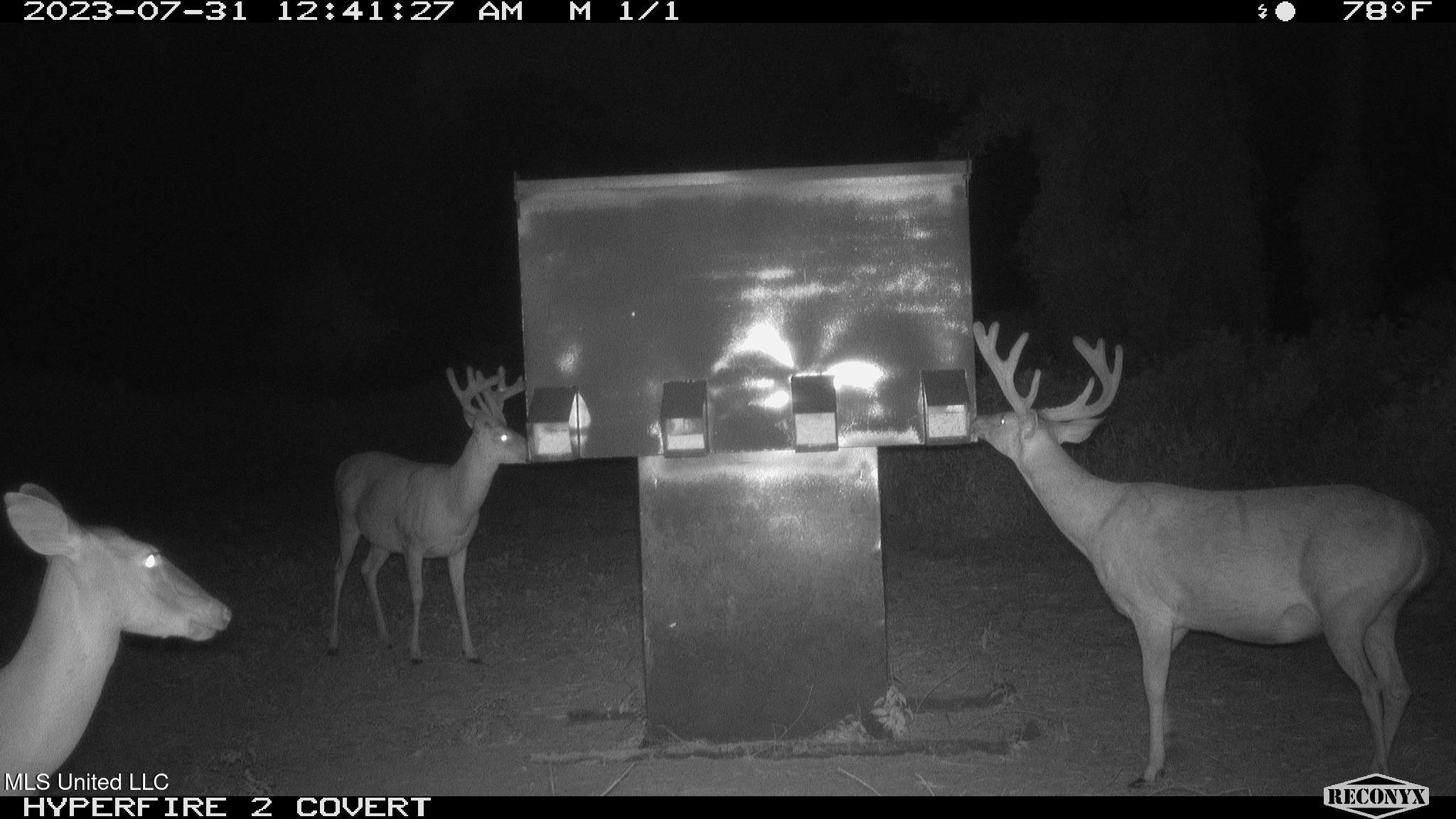 0 Priddy Road Rolling Fork, MS 39159 - Photo 50 of 56 RCNX1063 - Copy