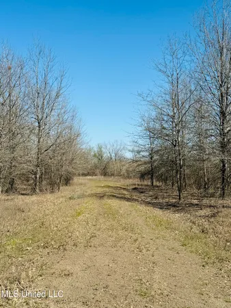 $1,050,000 | 0 Priddy Road, Rolling Fork, MS 39159
