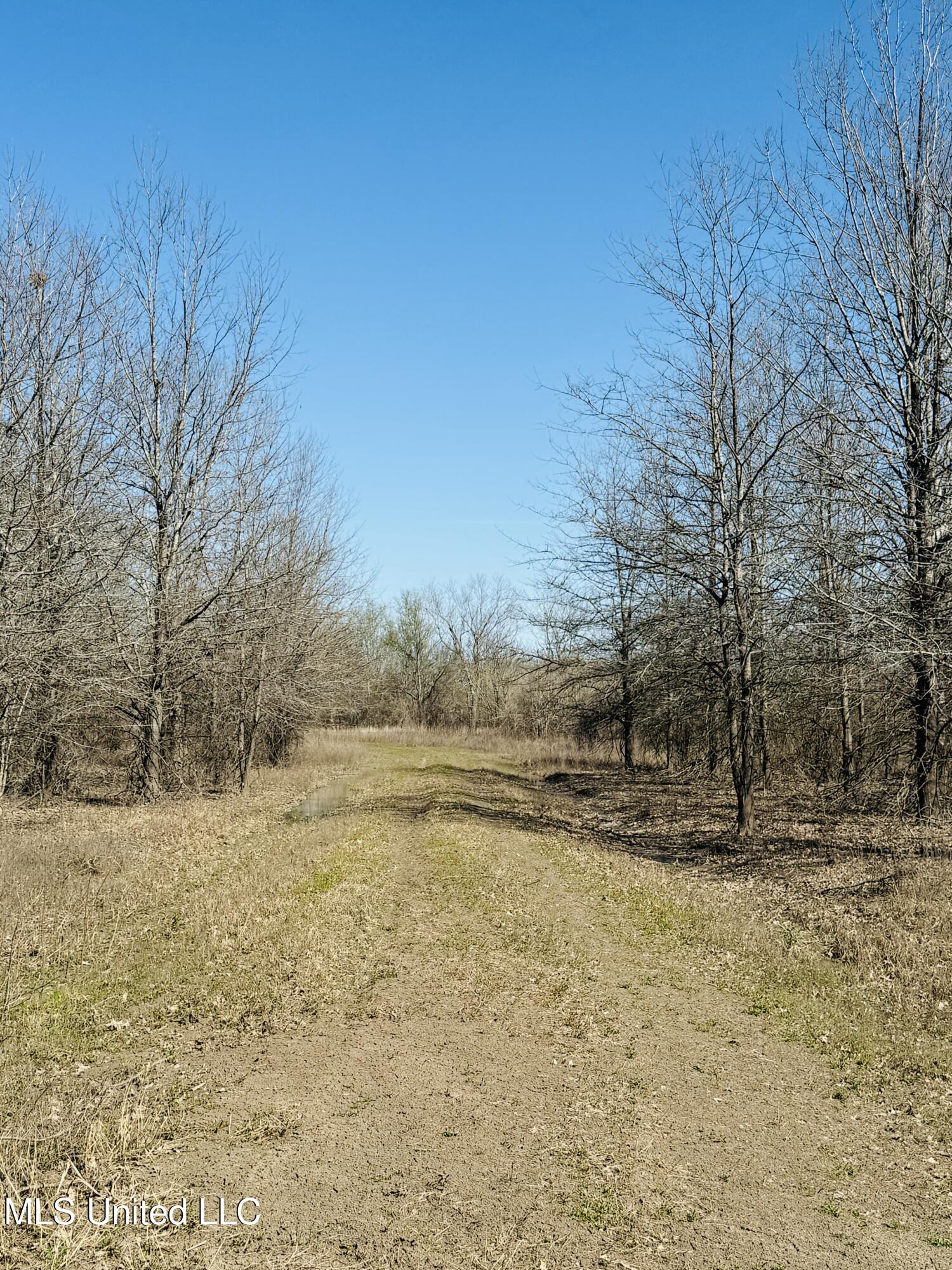 0 Priddy Road Rolling Fork, MS 39159 - Photo 5 of 56 Photo Mar 25 2025, 3 40 24 PM