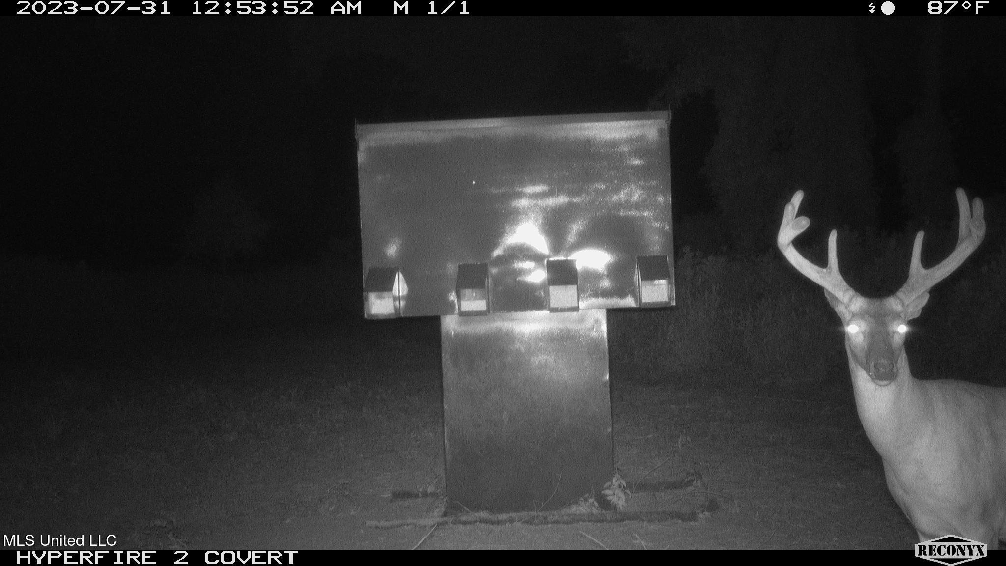 0 Priddy Road Rolling Fork, MS 39159 - Photo 51 of 56 RCNX1416 - Copy