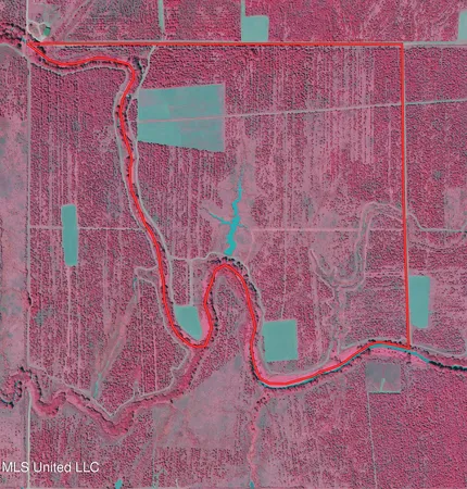 $1,050,000 | 0 Priddy Road, Rolling Fork, MS 39159