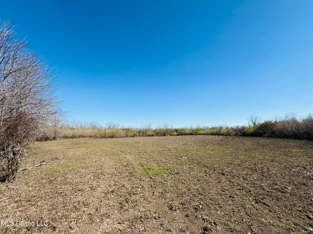 $1,150,000 | 0 Priddy Road, Rolling Fork, MS 39159