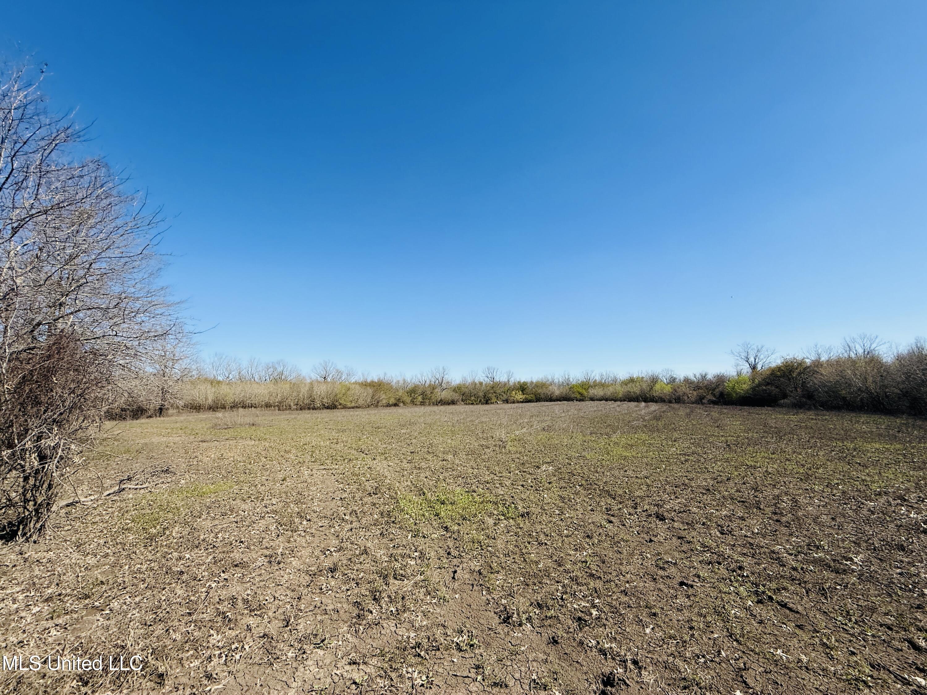 0 Priddy Road Rolling Fork, MS 39159 - Photo 6 of 56 Photo Mar 25 2025, 3 41 07 PM