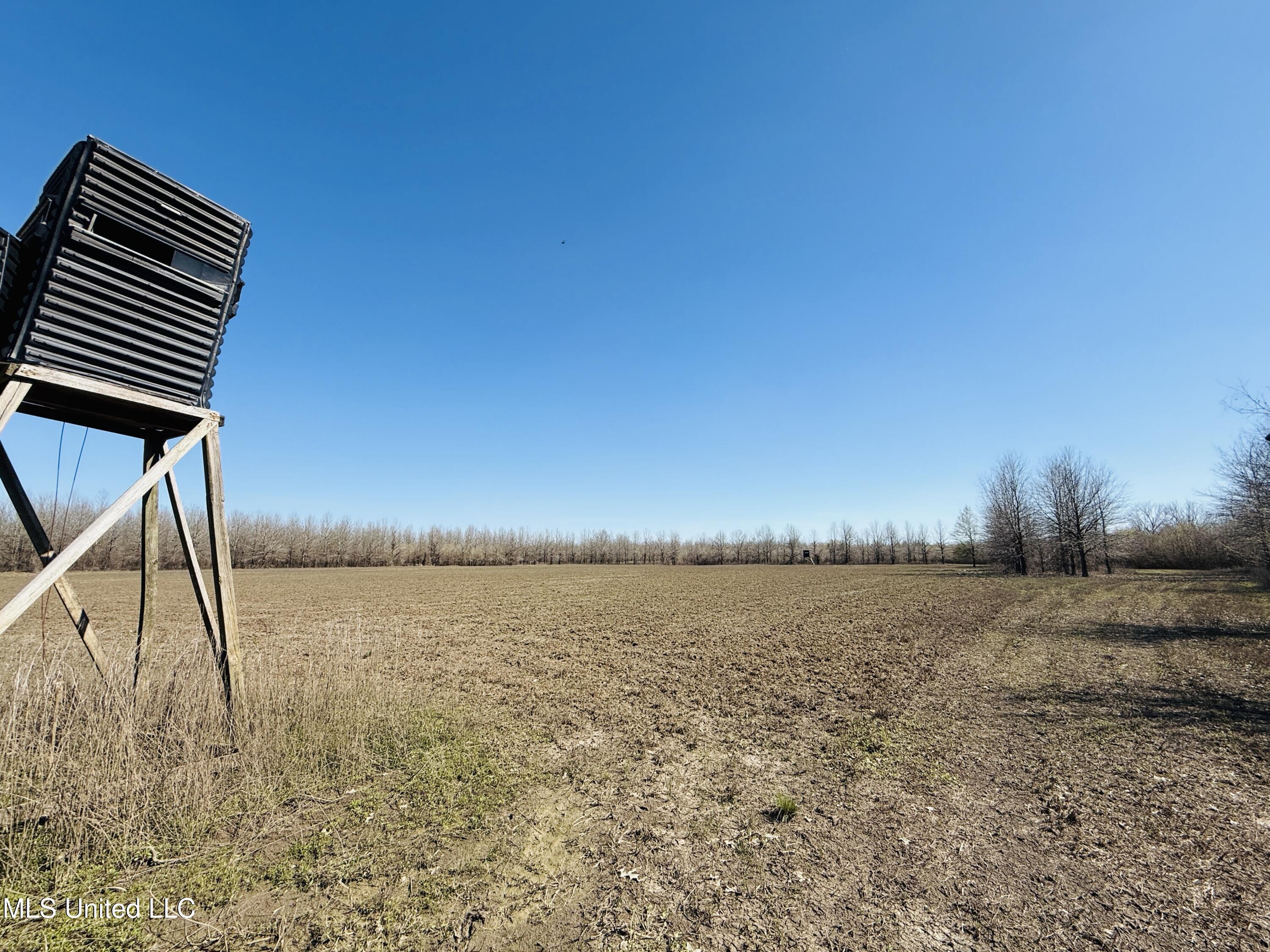 0 Priddy Road Rolling Fork, MS 39159 - Photo 9 of 56 Photo Mar 25 2025, 3 45 41 PM