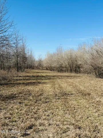 $1,150,000 | 0 Priddy Road, Rolling Fork, MS 39159