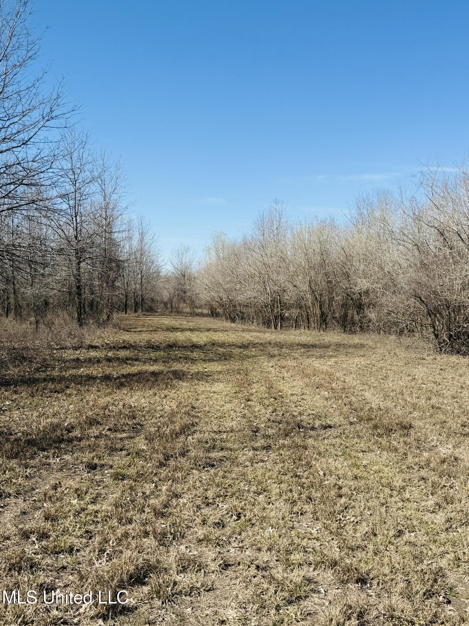 0 Priddy Road Rolling Fork, MS 39159 - Photo 10 of 56 Photo Mar 25 2025, 3 49 19 PM