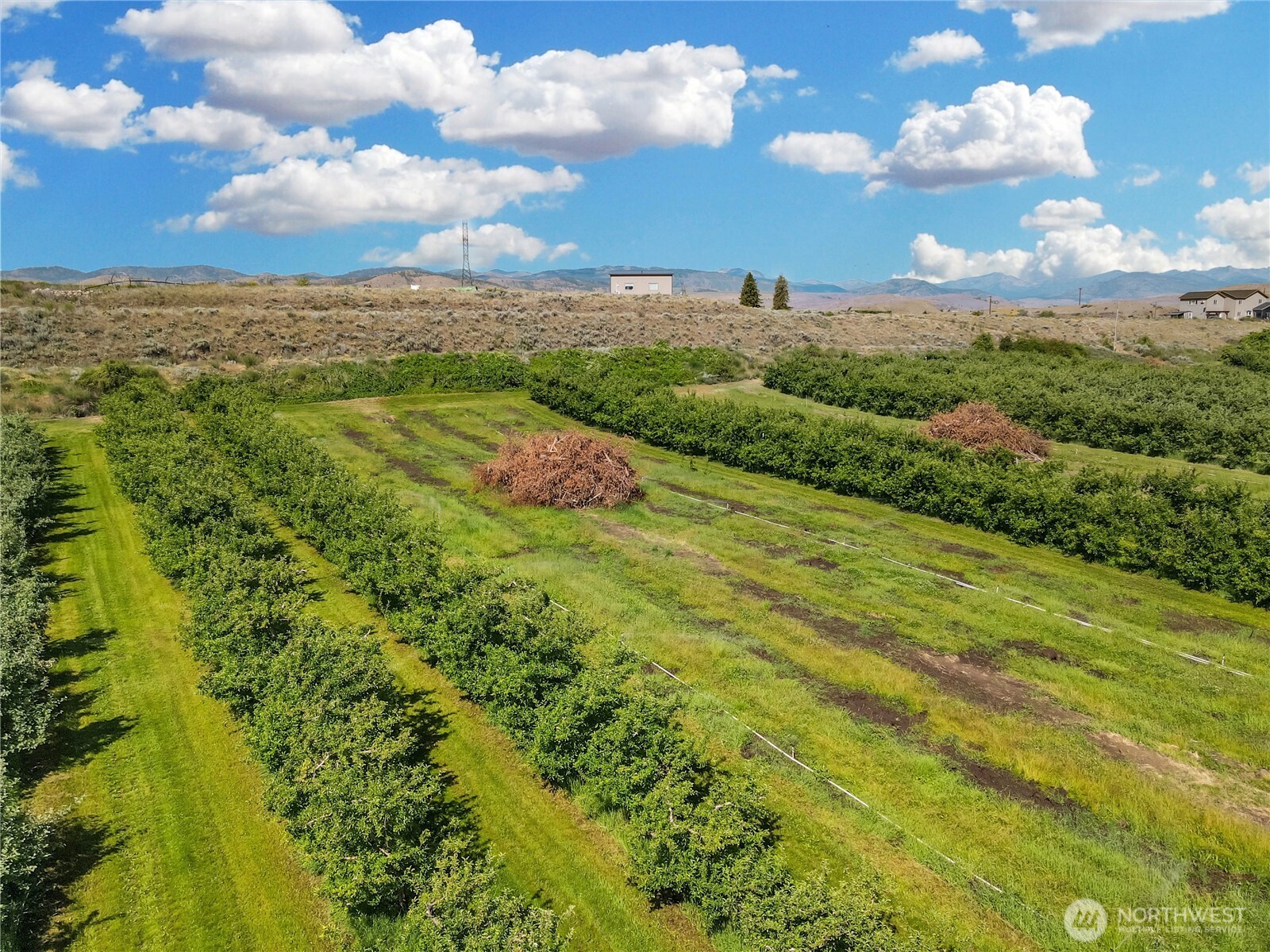 223 Old Riverside Highway Omak, WA 98841 - Photo 22 of 25