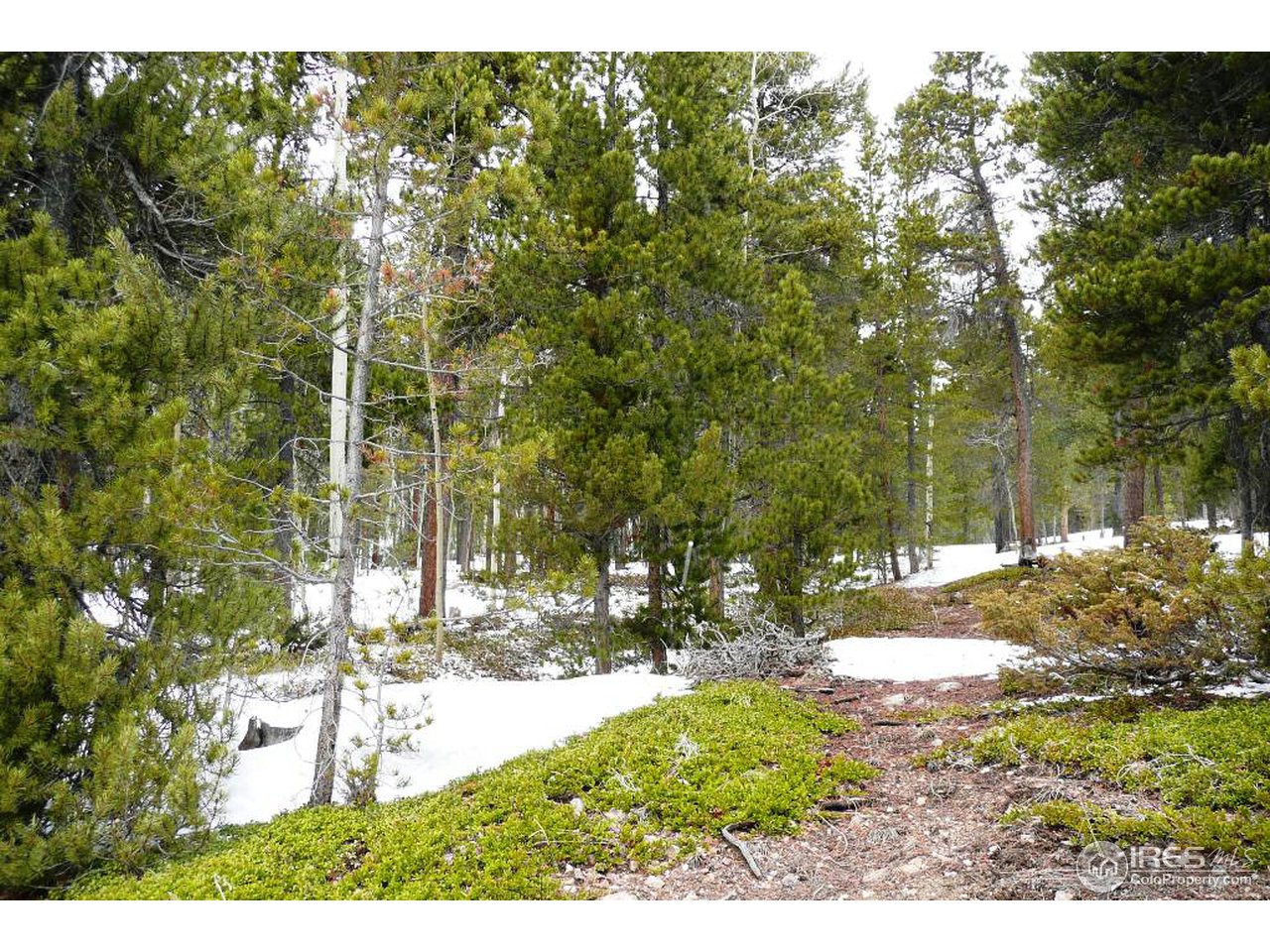0 Timber Road Black Hawk, CO 80422 - Photo 13 of 25 Gallery Image 13