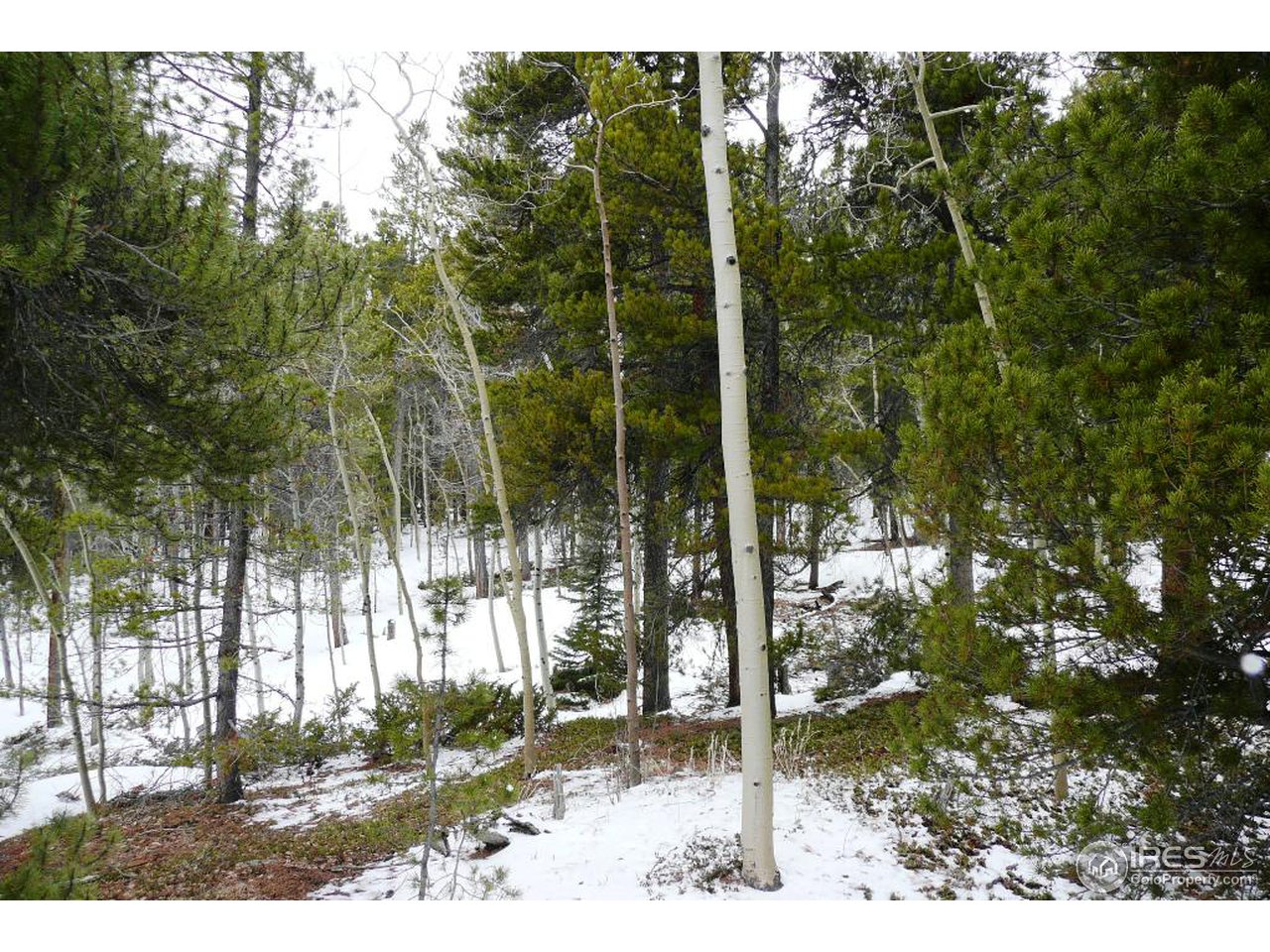 0 Timber Road Black Hawk, CO 80422 - Photo 14 of 25 Gallery Image 14