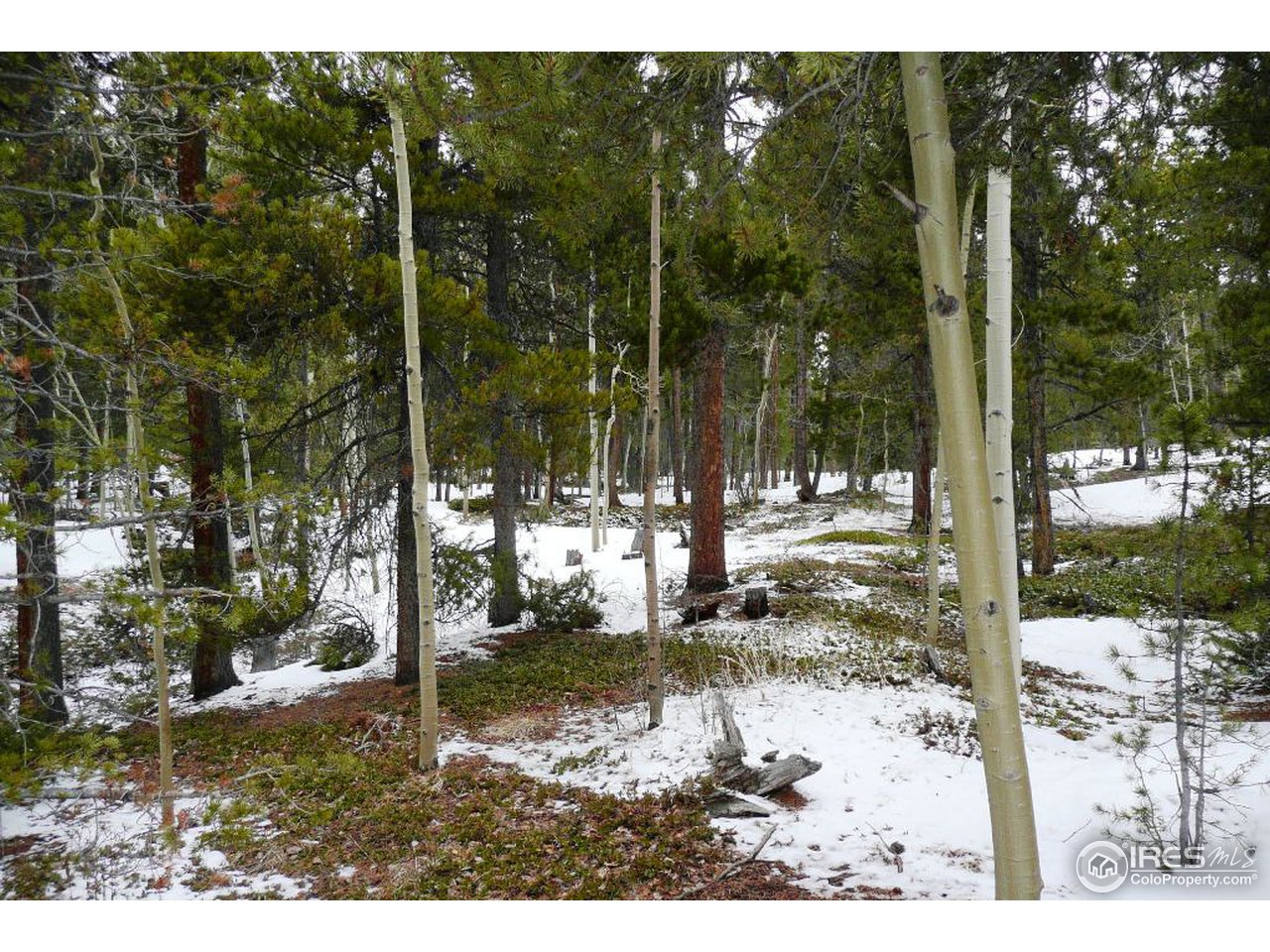 0 Timber Road Black Hawk, CO 80422 - Photo 17 of 25 Gallery Image 17