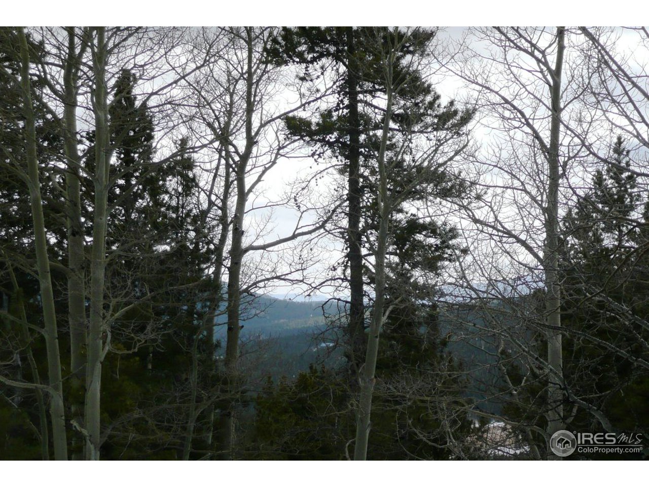 0 Timber Road Black Hawk, CO 80422 - Photo 20 of 25 Gallery Image 20