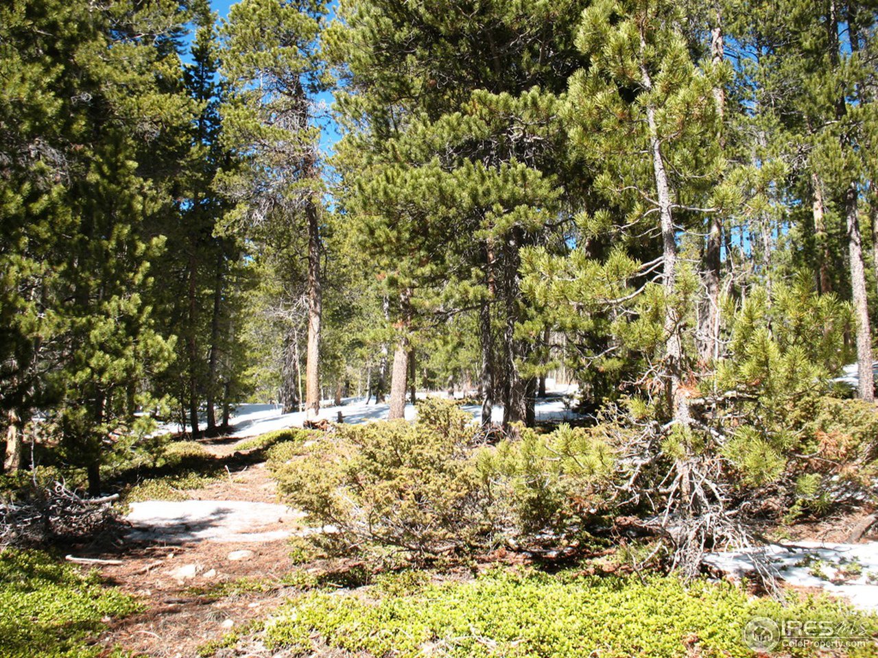 0 Timber Road Black Hawk, CO 80422 - Photo 4 of 25 Gallery Image 4