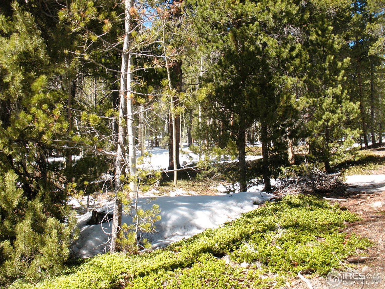 0 Timber Road Black Hawk, CO 80422 - Photo 5 of 25 Gallery Image 5