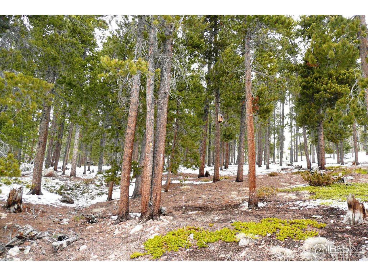 0 Timber Road Black Hawk, CO 80422 - Photo 10 of 25 Gallery Image 10