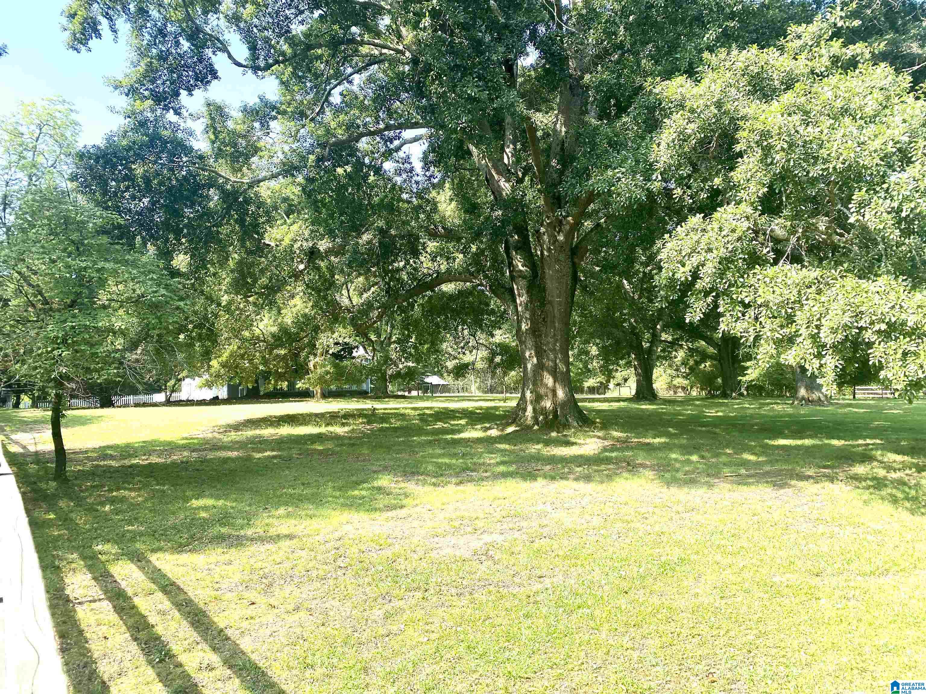 454 Buckelew Bridge Road Anniston, AL 36207 - Photo 5 of 50