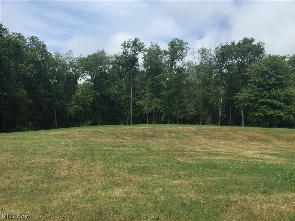 15633 McDonald Road Lisbon, OH 44432 - Photo 3 of 9