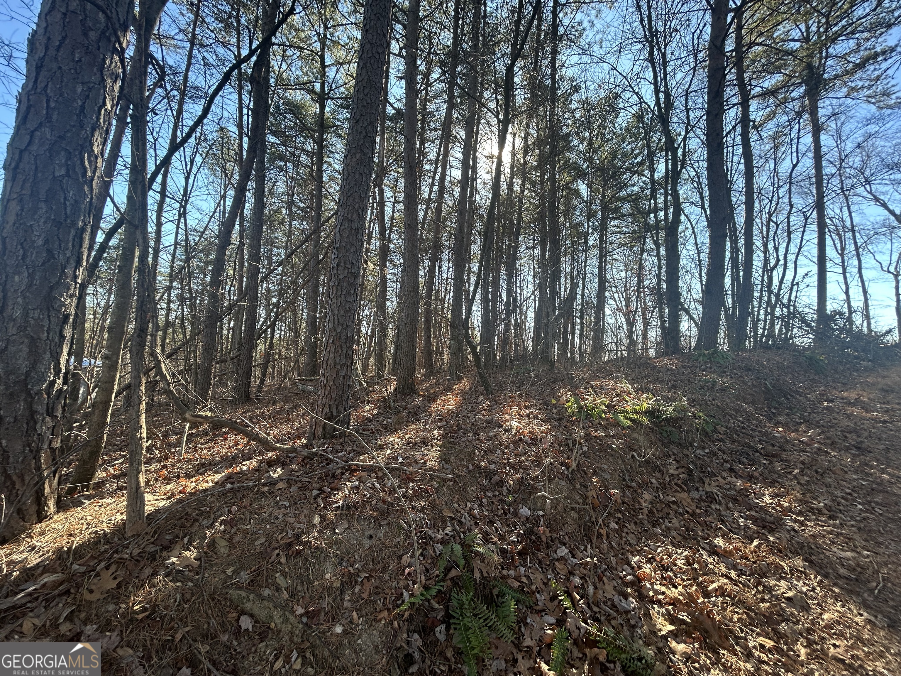 0 Highland Tree Court Ranger, GA 30734 - Photo 1 of 4 a backyard of a house with lots of green space