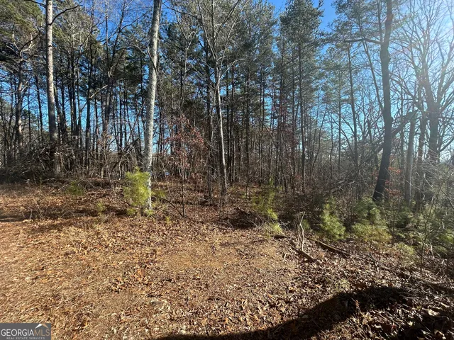 a view of backyard with green space