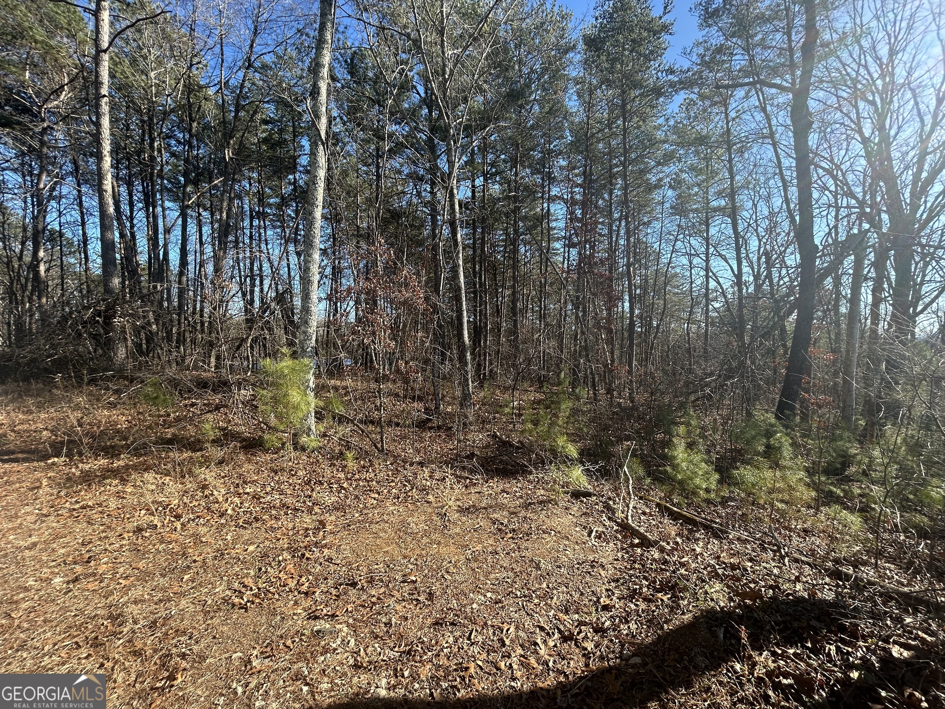 0 Highland Tree Court Ranger, GA 30734 - Photo 2 of 4 a view of backyard with green space