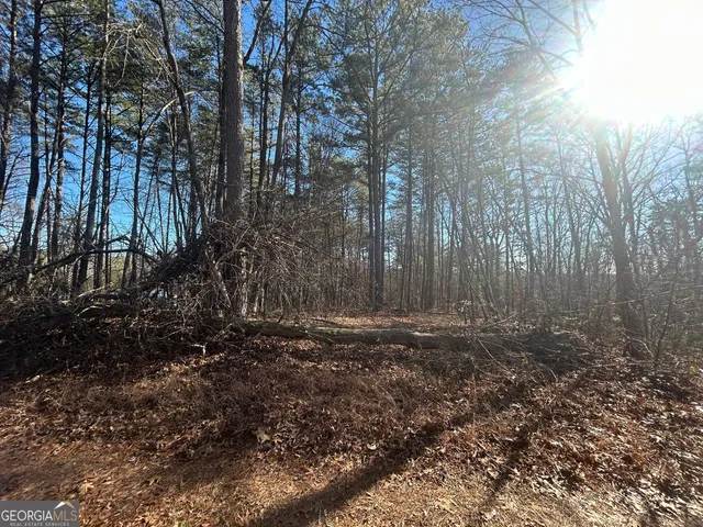 a view of a yard with trees